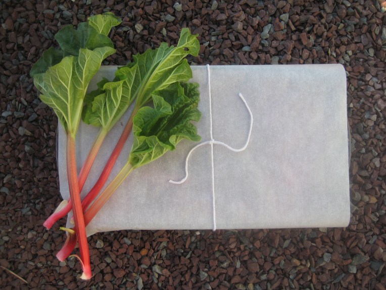 Rhubarb wrap1