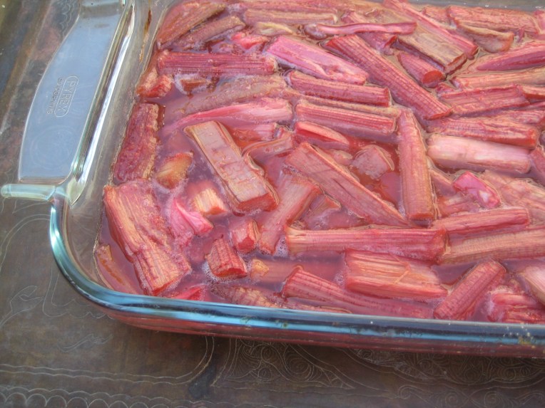 Rhubarb wrap2