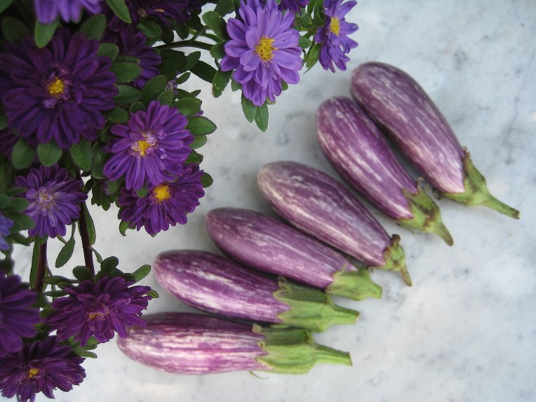 Fairytale eggplant and asters