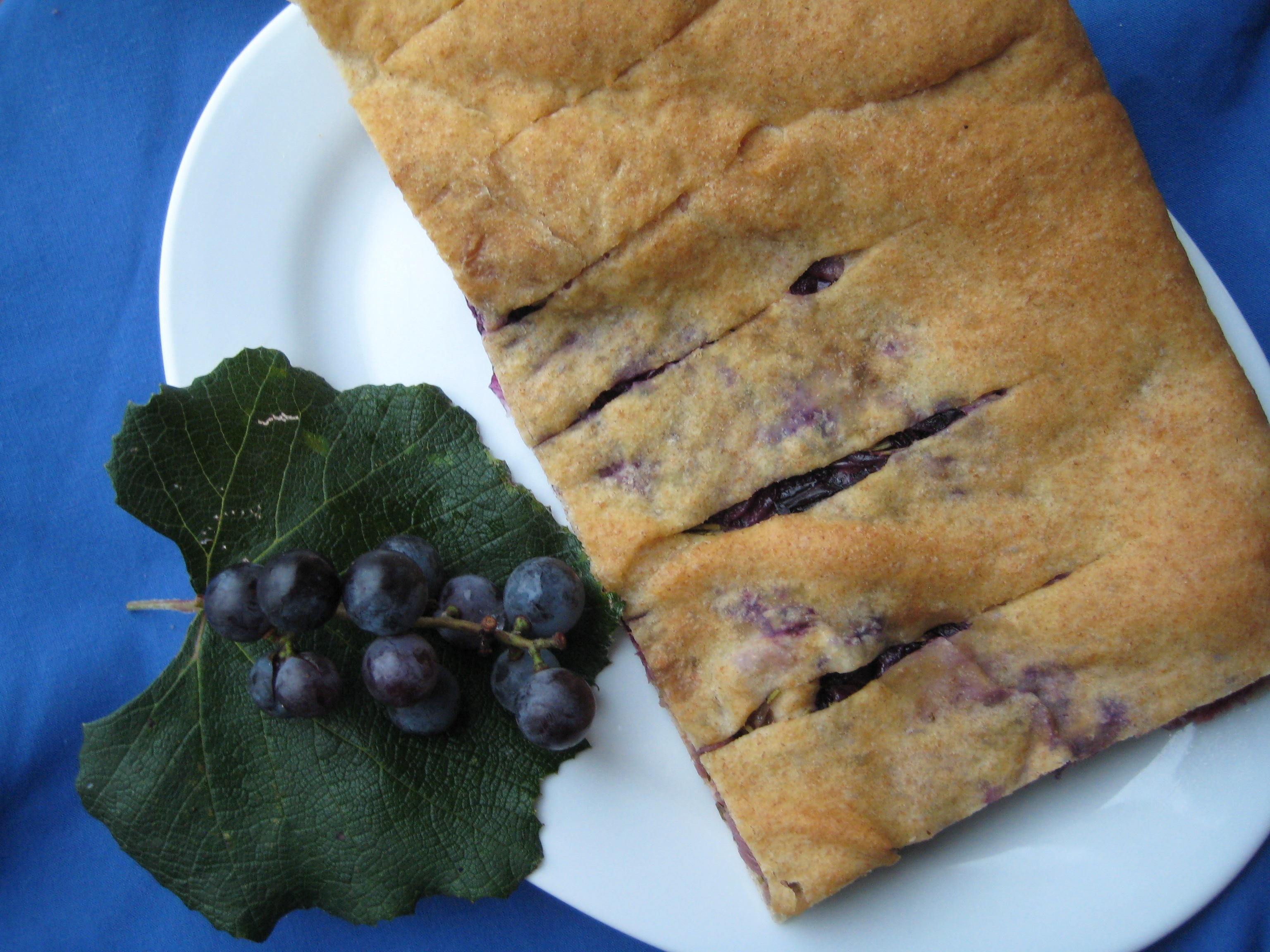 Concord grape solution – Green Card Gardener