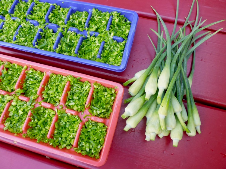 Garlic scapes for freezing
