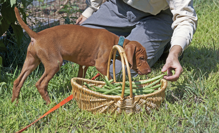 Checking this out some more