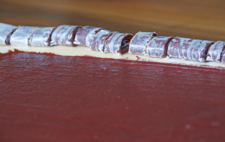 Autumn berry fruit leather